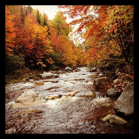 Viewers Choice Best Places To View Fall Foliage In New Hampshire