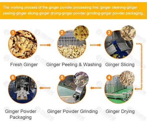 Support Customization Ginger Processing Line Baixin