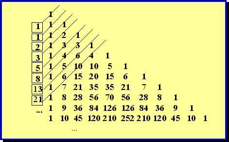 Cos è la sequenza di Fibonacci e a cosa serve XXI Secolo