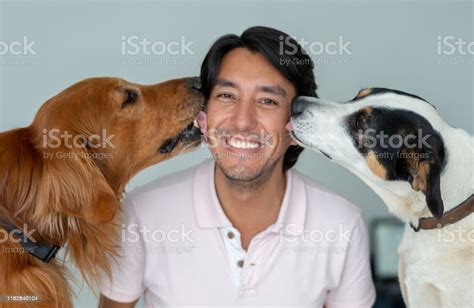 Portrait Of Two Happy Dogs Kissing Their Owner Stock Photo Download