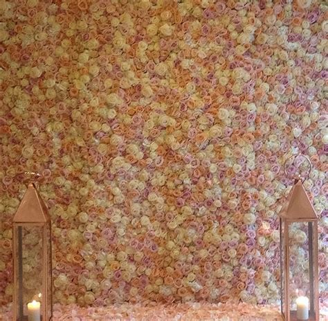 Marvelous Flower Wall Meijer Roses