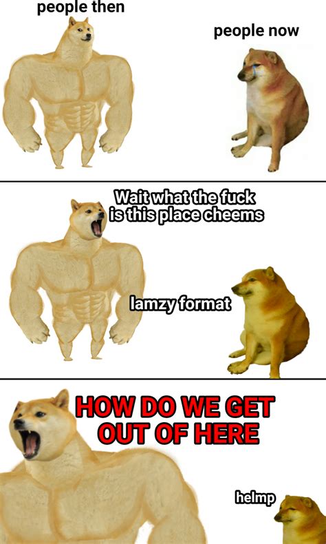 I Hate This Format Swole Doge Vs Cheems Know Your Meme