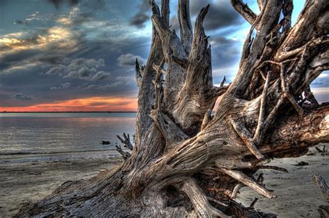 Sunset On Driftwood Beach By Greg And Chrystal Mimbs Driftwood Beach