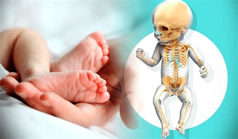 ¿cuántos Huesos Tiene Un Bebé Todo Lo Que Necesitas Saber Doncomo ️