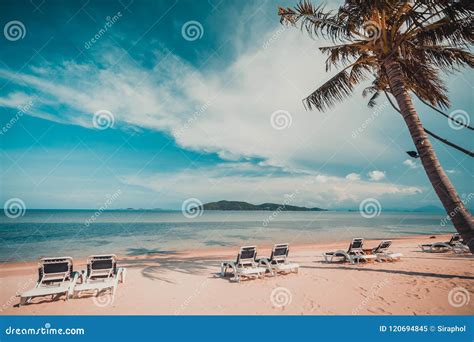 Beautiful Tropical Beach And Sea With Coconut Palm Tree And Chair In