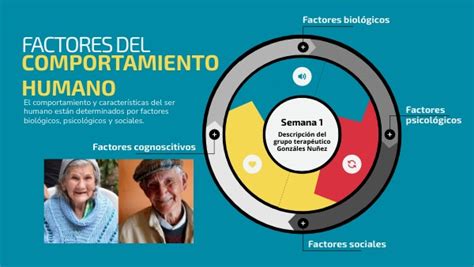 Factores Del Comportamiento Humano