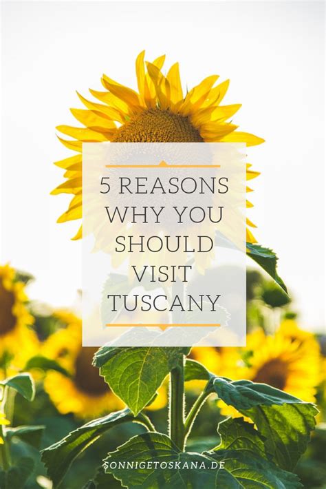 5 Reasons Why You Should Visit Tuscany Sonnigetoskana Tuscany
