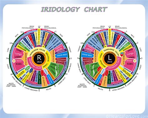 Iridology Ubicaciondepersonascdmxgobmx