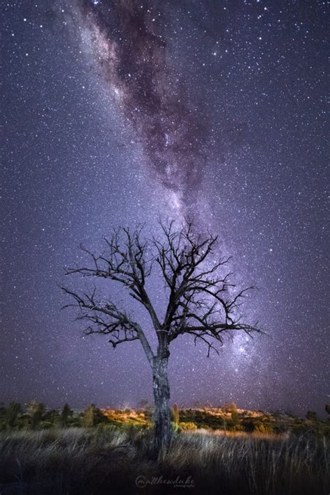 Lone Tree Milky Way Matthew Duke Photography