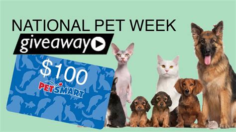 Win 100 Petsmart T Card In National Pet Week Giveaway Youtube