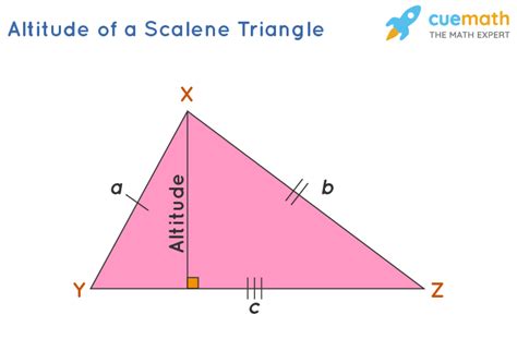 Altitude Of A Triangle Definition Formulas Properties Examples