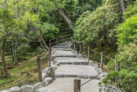 Stone Path Stairs Forest Japan Kyoto Moss Nature Green Outdoor