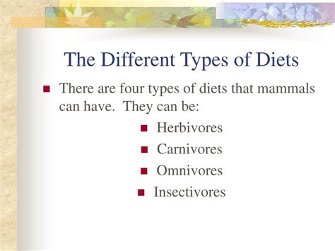 PPT - Mammals PowerPoint Presentation, free download - ID:50048