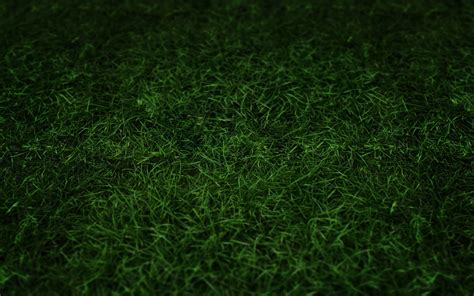 Soccer Grass Wallpaper