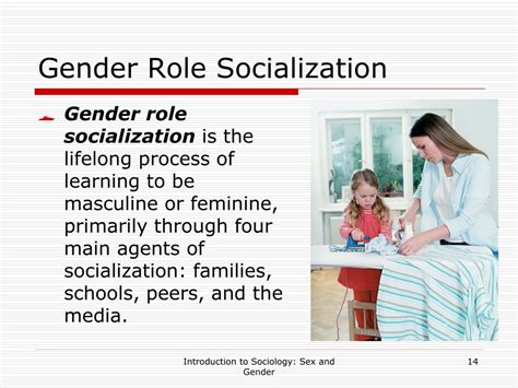 Ppt Lesson 10 Sex And Gender Powerpoint Presentation Free Download Id313784