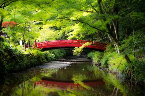 Red Bridge Ive Taken Landscape Japan Red Bridge Landscape Red
