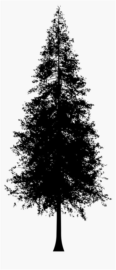Redwoods Silhouette Coast Redwood Clip Art Redwood Tree Silhouette