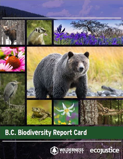 Bc Biodiversity Report Card Ecojustice