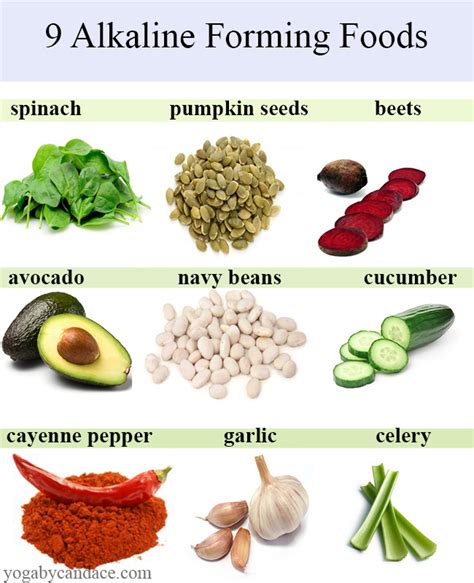 9 Alkaline Forming Foods — Yogabycandace