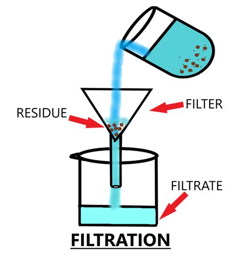 What Do You Mean By Filtration Explain With A Diagram