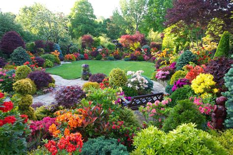 Beautiful Gardens Pictures Free Download Videohive After Effects