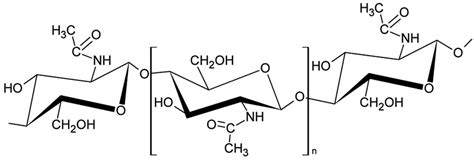 Structure Of Chitin Download Scientific Diagram