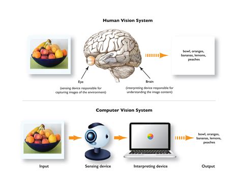 This is why we should see the difference between a computer and the human brain. How Does Computer Vision Work? - Manning