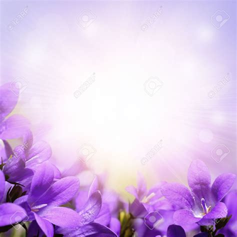Lavender Background Wedding Wedding Invitation Border Purple Flowers