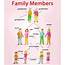 VOCABULARY – Family Members ENGLISH Your Way