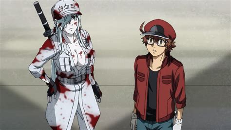 Cells At Work Code Black Season Release Date Renewed Or Canceled