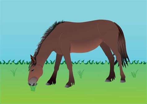 Horse Eating Grass Illustrations Royalty Free Vector Graphics And Clip