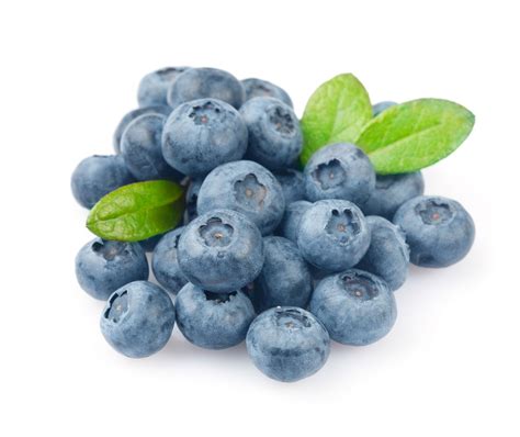 Blueberry ♡ Blueberries Photo 35246963 Fanpop