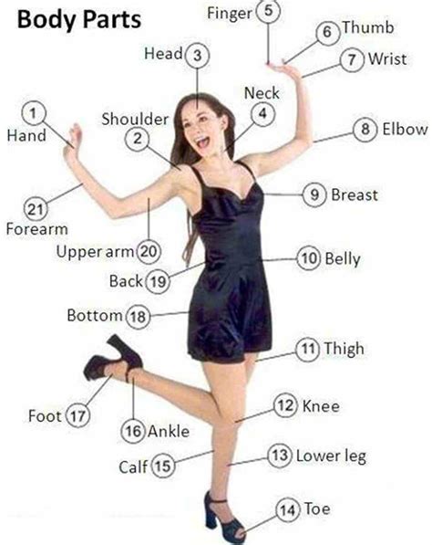 Parts Of The Body English Vocabulary Language Vocabulary English