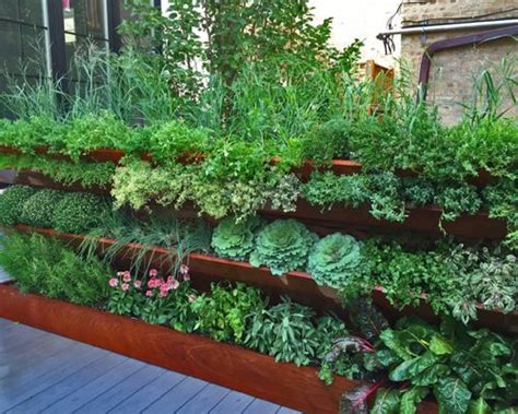 Rooftop Vegetable Garden Ideas Hawk Haven