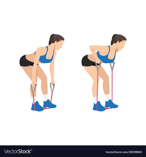 Woman Doing Resistance Band Bent Over Rows Vector Image