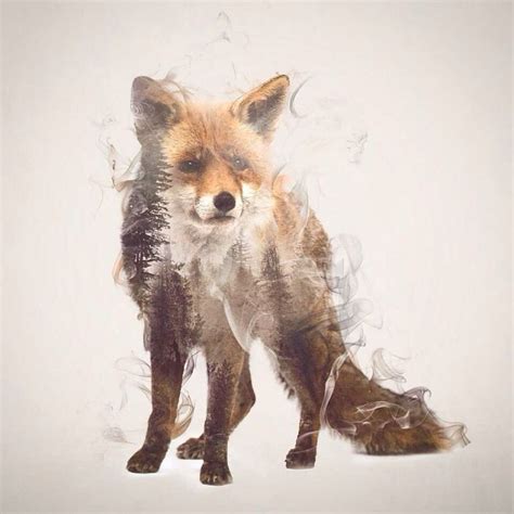 Soft And Delicate Double Exposure Portraits Of Wild Animals Double