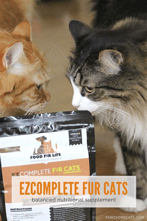 Recipes for whole raw cat food diet: Raw Cat Food Supplement - EZComplete Fur Cats | Pawesome ...