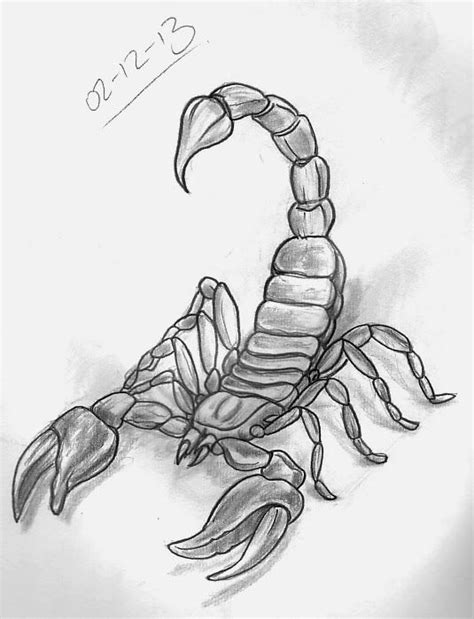 Scorpion Tattoo Drawings