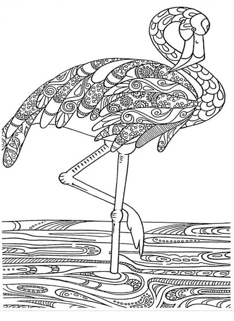 Flamingo Duro Para Colorear Imprimir E Dibujar Dibujos Colorear