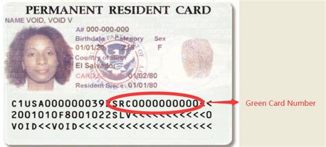 Check spelling or type a new query. Where to Find Green Card Number? | DYgreencard