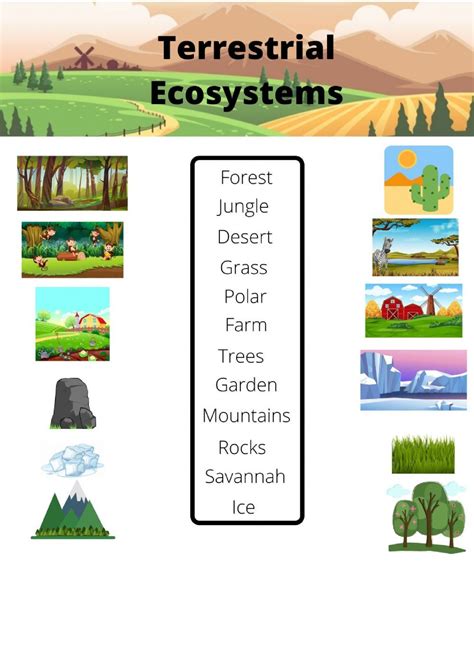 Landscapes Online Activity For Grade 3 4 5 6 Elementary Level You