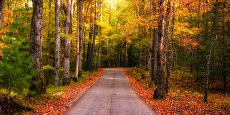 Great Smoky Mountains National Park National Park In