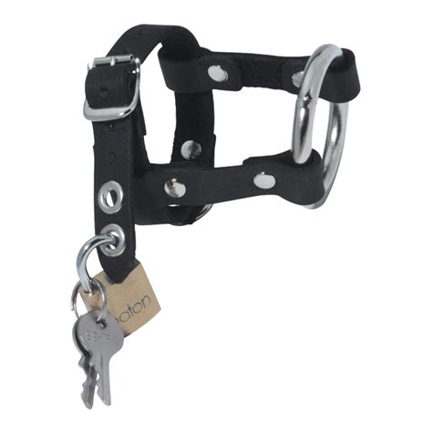 Chastity Locking Cock And Ball Harness