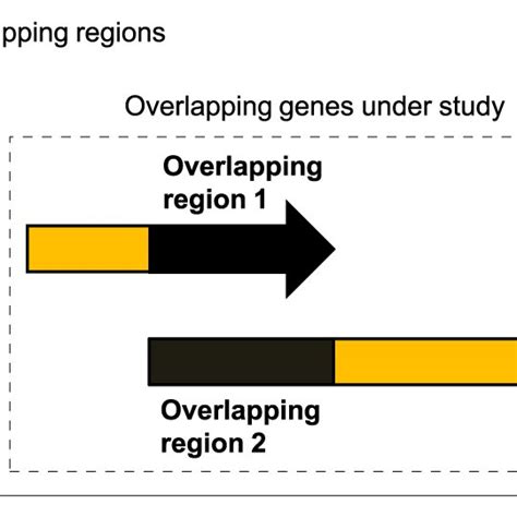 Definition Used For Overlapping Regions And Non Overlapping Regions Of