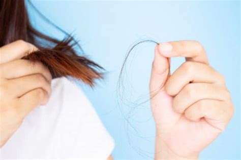 Dengan harga hair dryer yang tak jauh berbeda, hadirnya fitur ion tambahan bisa melapisi rambut dan membuat. Tekstur Rambut Ternyata Itu Bisa Mengubah Diri, Kenapa bisa?