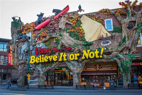 4 Reasons Why You Should Visit Ripley’s Believe It Or Not In Gatlinburg