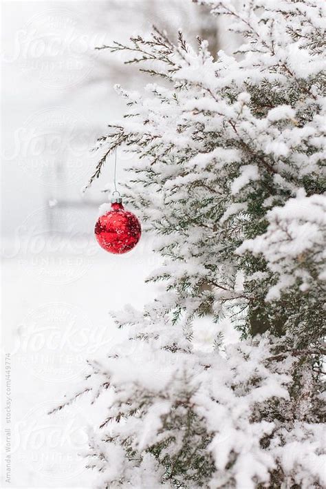 Red Christmas Ornament Hanging From Snow Covered Pine Tree By
