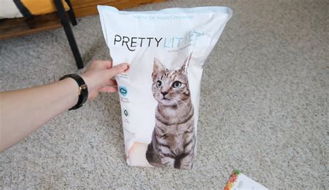 Pretty Litter Reviews Authentic And Unbiased Views By Experts