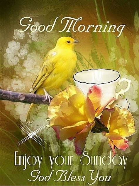 Pin By M Tay💛 On Sunday ~ ️ Sunday Morning Wishes Good Morning