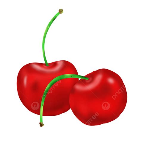 Cherry Clipart Vector Cherry Fruit Summer Small Fresh Png Image For